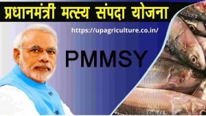 Pradhan Mantri Matsya Sampada Yojana 2024 प्रधानमंत्री मत्स्य संपदा योजना 2024 1 Pradhan Mantri Matsya Sampada Yojana 2024