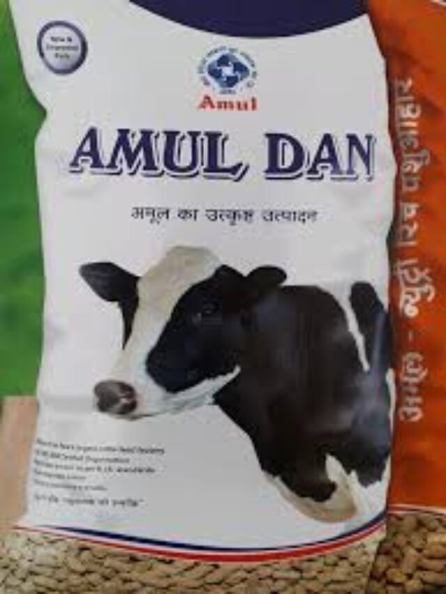 Amul Dairy Online Work From Home Job