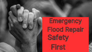 Emergency Flood Repair 1 Small Business Call Center Software 7
